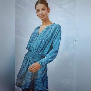 Rails Jasmine Jewel Cheetah Dress Smocked Blouson Tiered Blue Women's Sz S